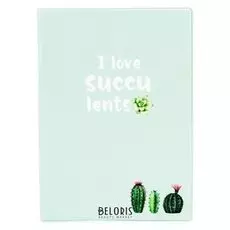Обложка на автодокументы Succulents