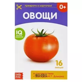 Обучающая книжка по методике Г. домана «Овощи», 20 стр.