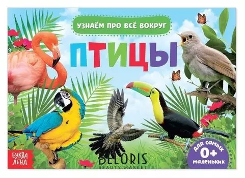 Обучающая книжка «Птицы», 18 птиц