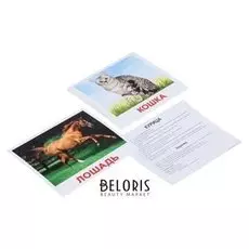 Обучающие карточки «Домашние животные»