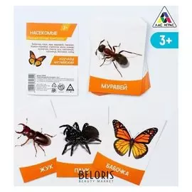 Обучающие карточки «Насекомые», 16 шт.