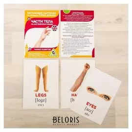 Обучающие карточки по методике Г. домана «Части тела на английском языке», А6