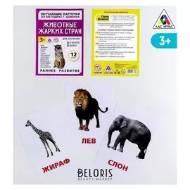 Обучающие карточки по методике Г. домана «Животные жарких стран», 12 карт, А6