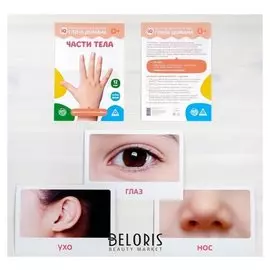 Обучающие карточки по методике Глена Домана «Части тела», 12 карт