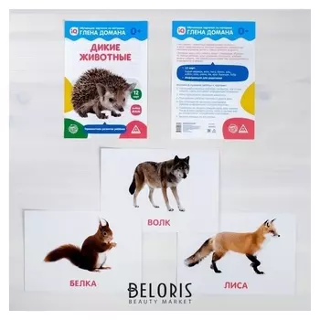 Обучающие карточки по методике Глена Домана «Дикие животные», 12 карт