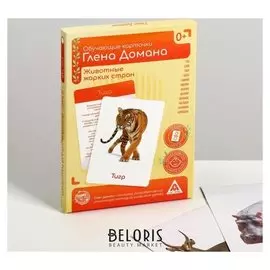 Обучающие карточки по методике Глена Домана «Животные жарких стран», 12 карт