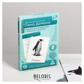 Обучающие карточки по методике Глена Домана «Животные Северного и Южного полюсов», 12 карт