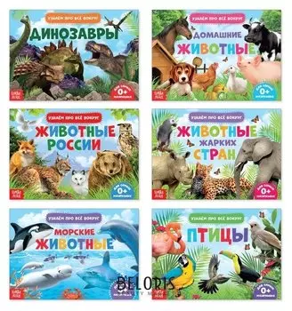 Обучающие книжки набор Узнаём про всё вокруг 108 животных и птиц
