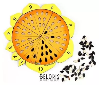 Обучение счету «Подсолнух»