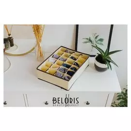 Органайзер для белья 38×30×12 см, 24 ячейки, цвет жемчужный