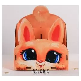 Органайзер для канцтоваров Зая