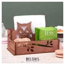 Органайзер для кухонных мелочей "Сова", 16,2х9,5х10 см