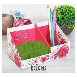 Органайзер - растущий сувенир "Мечтай" 10,5 х 10 см