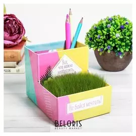 Органайзер - растущий сувенир "Не бойся мечтать" 10,5 х 10 см