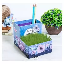 Органайзер - растущий сувенир "Следуй за мечтой" 10,5 х 10 см