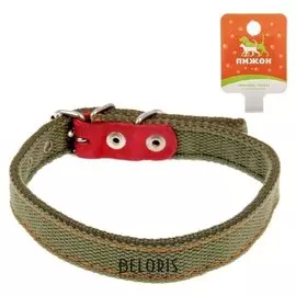 Ошейник брезентовый двухслойный, 50 х 2 см, микс цветов