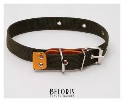 Ошейник брезентовый однослойный, 52 х 3 см микс цветов