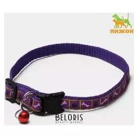 Ошейник двухслойный с фастексом "Косточки и лапки", 30 х 1 см, микс