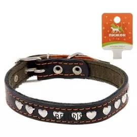 Ошейник комбинированный кожа/брезент, 54 х 2,5 см, украшенный микс видов и цветов