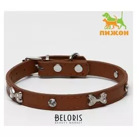 Ошейник "Косточки и стразы", 38 х 1,5 см, коричневый