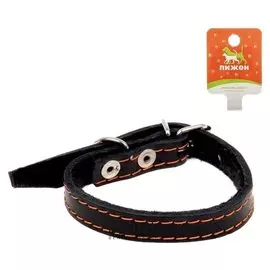 Ошейник кожаный на синтепоне, 36 х 1.5 см, микс цветов
