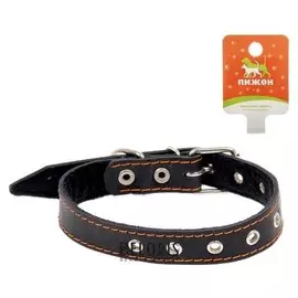 Ошейник кожаный на синтепоне, безразмерный, 54 х 2.5 см, микс цветов