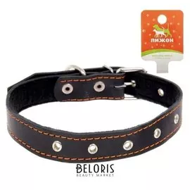 Ошейник кожаный на синтепоне, безразмерный, 65 х 3 см, микс цветов