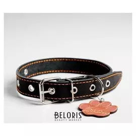Ошейник кожаный однослойный, 31 - 52 см, 58 х 2.5 см, чёрный