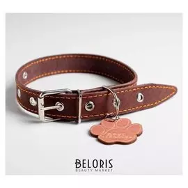 Ошейник кожаный однослойный, 33 - 53 см, 58 х 2.5 см, коричневый