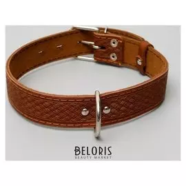 Ошейник кожаный однослойный, 64 х 3,5 см микс