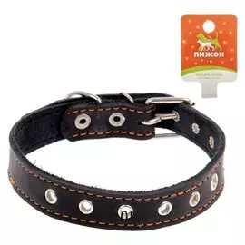 Ошейник кожаный однослойный, безразмерный, 56 х 2.5 см, микс цветов