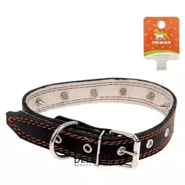 Ошейник кожаный "Строгий шип", 65 х 3 см, микс цветов