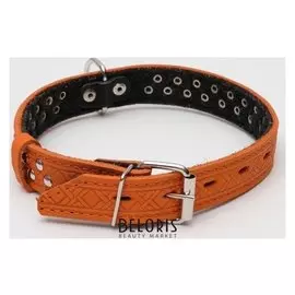 Ошейник кожаный тисненый на фетре, 60 х 3 см, клепаный, микс цветов