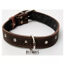 Ошейник кожаный тисненый на фетре, 64 х 3,5 см, безразмерный, микс цветов