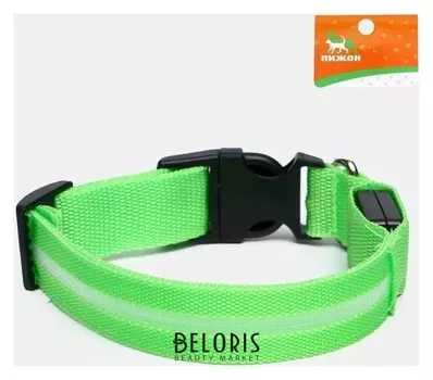 Ошейник с подсветкой, S, 38-40 см, 3 режима свечения, зеленый