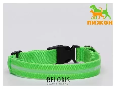 Ошейник с подсветкой, XL, 50-58 см, 3 режима свечения, зеленый