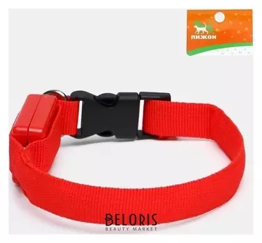 Ошейник светящийся узкий для небольших собак, 26 х 1,5 см, красный