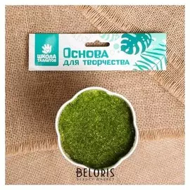 Основа для творчества и декорирования «Горшочек фигурный»