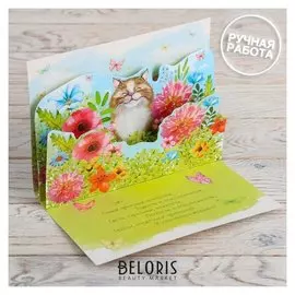 Открытка объёмная «С днём рождения», котик в цвета×, 16 × 12 см