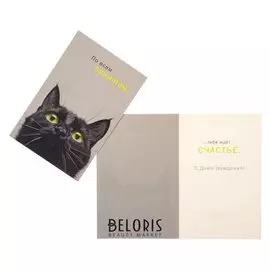 Открытка "По всем приметам..." кот