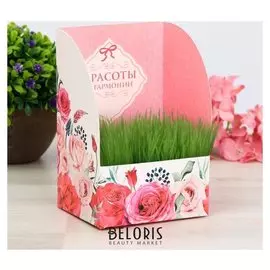 Открытка с растущей травой "Красоты и гармонии"