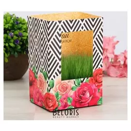 Открытка с растущей травой "Мечтай и вдохновляйся"