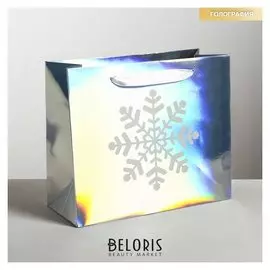 Пакет голографический горизонтальный «Снежинка», ML 27 × 23 × 11.5 см