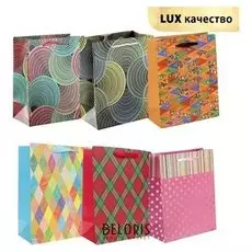 Пакет ламинированный, люкс, 18 х 21 х 8,5 см