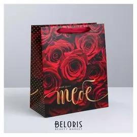 Пакет ламинированный вертикальный «Это все тебе», ML 23 × 27 × 11.5 см