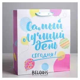 Пакет ламинированный вертикальный «Самый лучший день сегодня!», ML 23 × 27 × 11,5 см