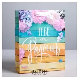 Пакет ламинированный вертикальный «Тебе на радость», ML 23 × 27 × 8 см