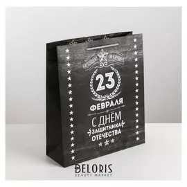 Пакет ламинированный вертикальный «Защитнику», M 26 × 30 × 9 см