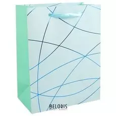 Пакет подарочный "Дуги"