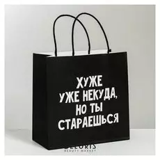 Пакет подарочный «Хуже уже некуда», 22 × 22 × 11 см